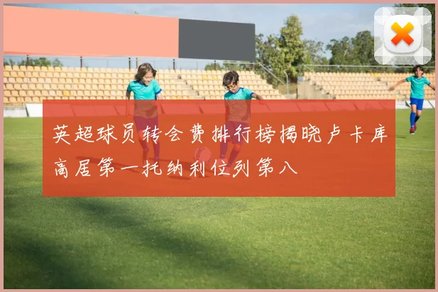 英超球员转会费排行榜揭晓卢卡库高居第一托纳利位列第八