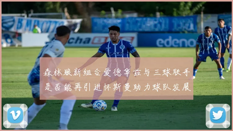 森林狼新组合爱德华兹与三球联手是否能再引进怀斯曼助力球队发展