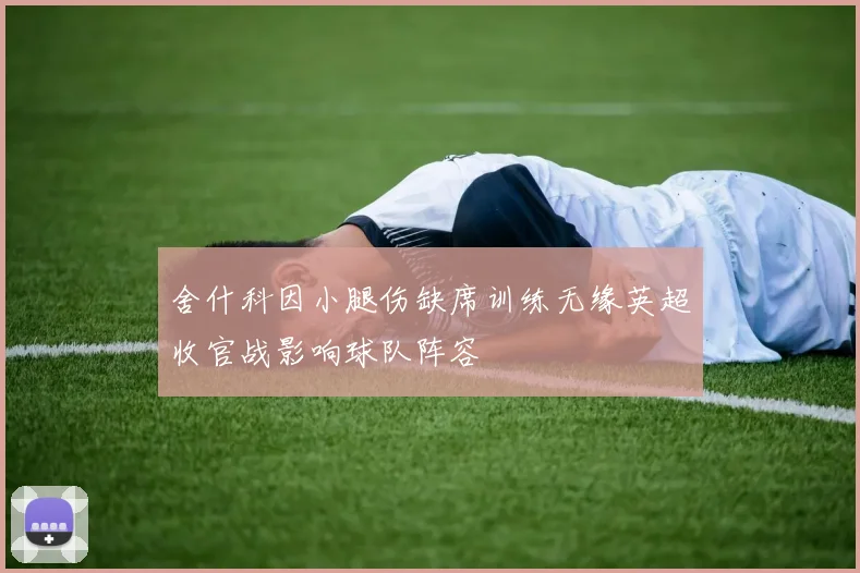 舍什科因小腿伤缺席训练无缘英超收官战影响球队阵容